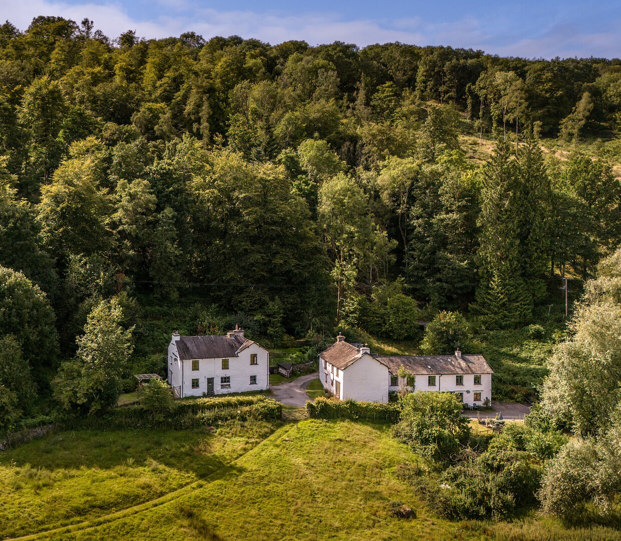 Aerial view of two white houses nestled in a green forest.